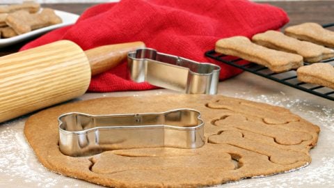 roll out dough for homemade dog biscuits
