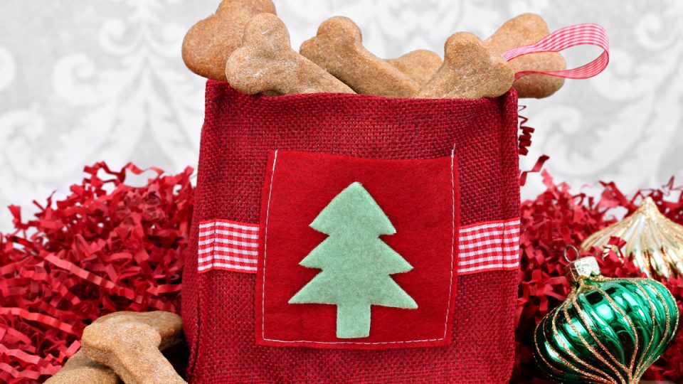 Dog cookies in a decorative Christmas bag surrounded by Christmas decor