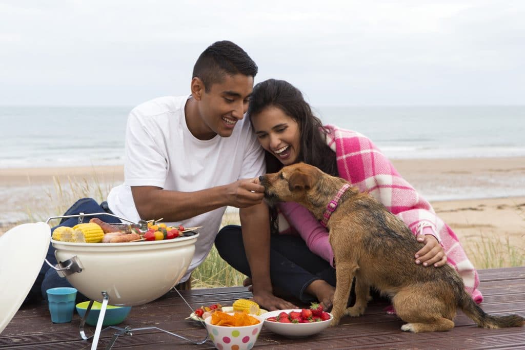 Young couple sitting in front of barbecue, feeding dog.