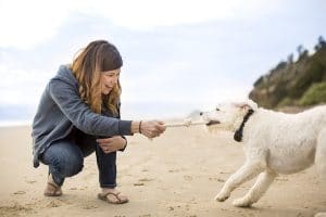 Pet owner playing tug of war with her dog on the beach
