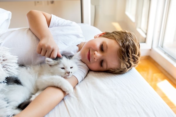 Un petit garçon caressant un chaton sur un lit