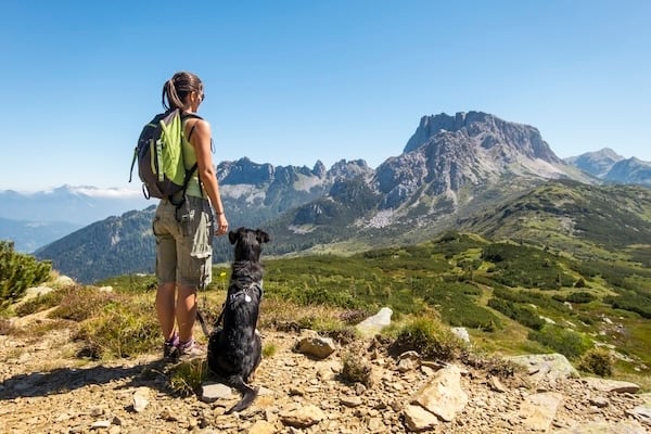 Dog and person hiking, looking at mountain