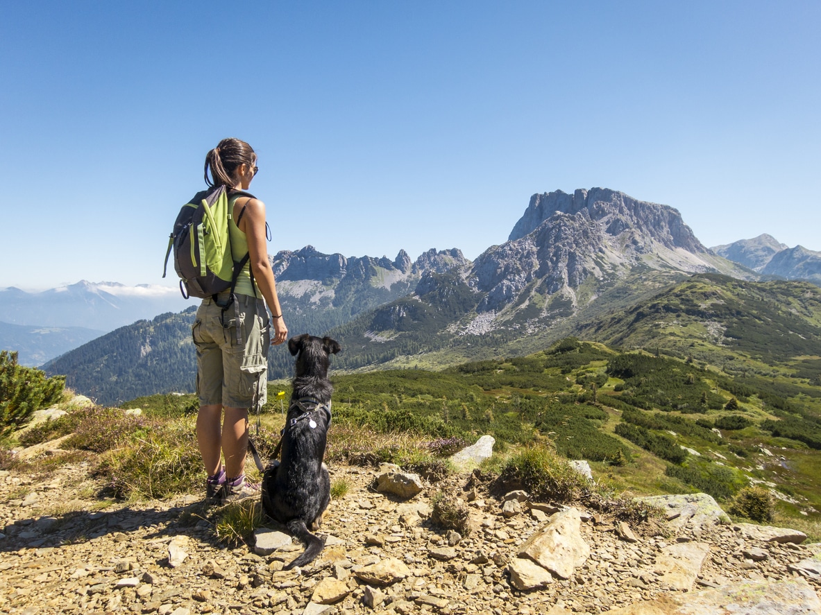 young woman enjoying the view with her leashed dog on a pit stop during a hiking trip in the mountains