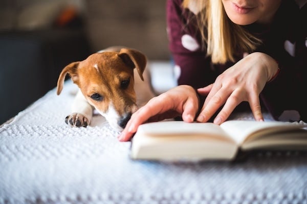 Woman reading a book and lying on the bed with dog.