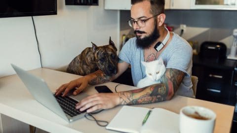 Mid adult man working at home on laptop with his dog, american staffordsire terrier and his white cat sitting next to him