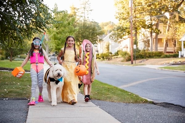 Children And Dog In Halloween Costumes For Trick Or Treating