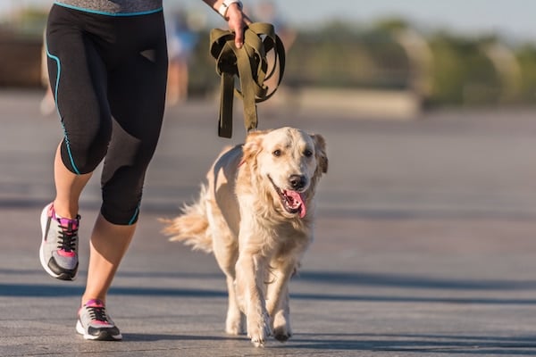 Sportswoman jogging with dog