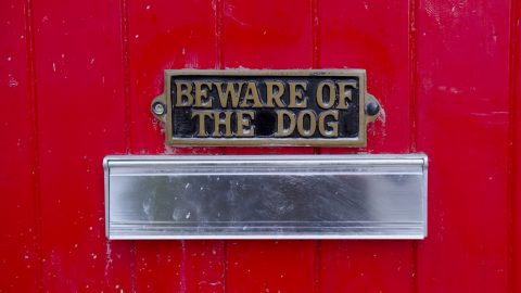 beware of the dog sign right on top of a mail slot on the door