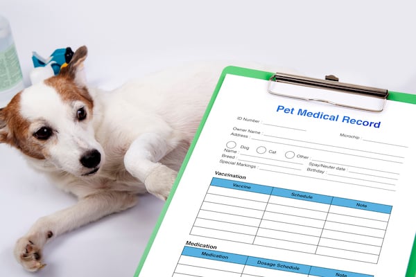 Pet medical record on clipboard with background of injured dog that had treatment.