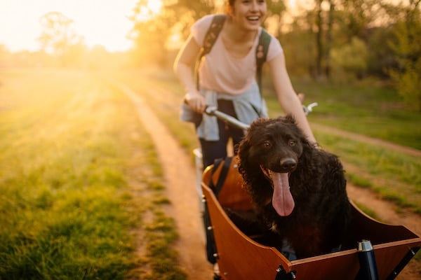 Young woman riding bike with dog in basket