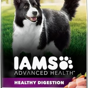 iams advanced health: healthy digestion dry food