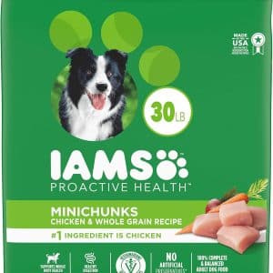 iam minichunks