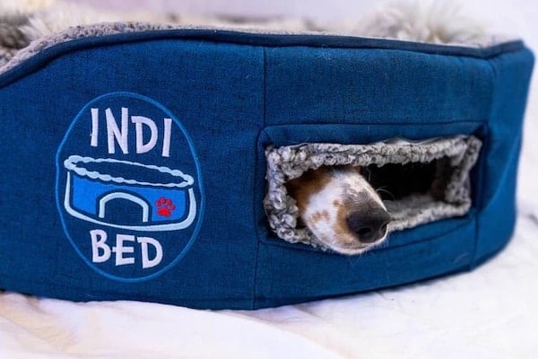 Dog nose peeking out of Indi Bed for dogs