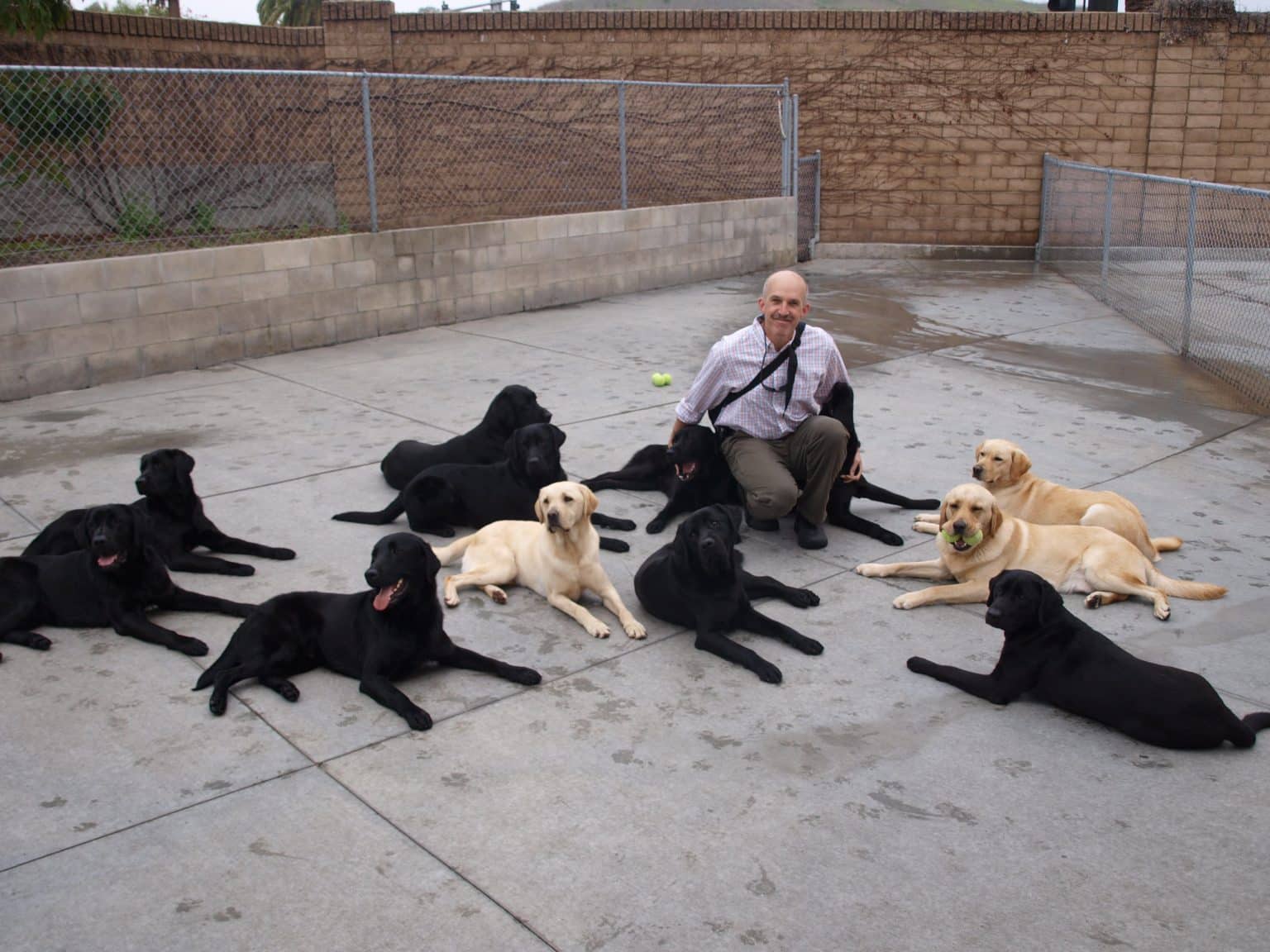 The Secret (Mental Health) Lives of Pets: What Pets Really Think and Feel