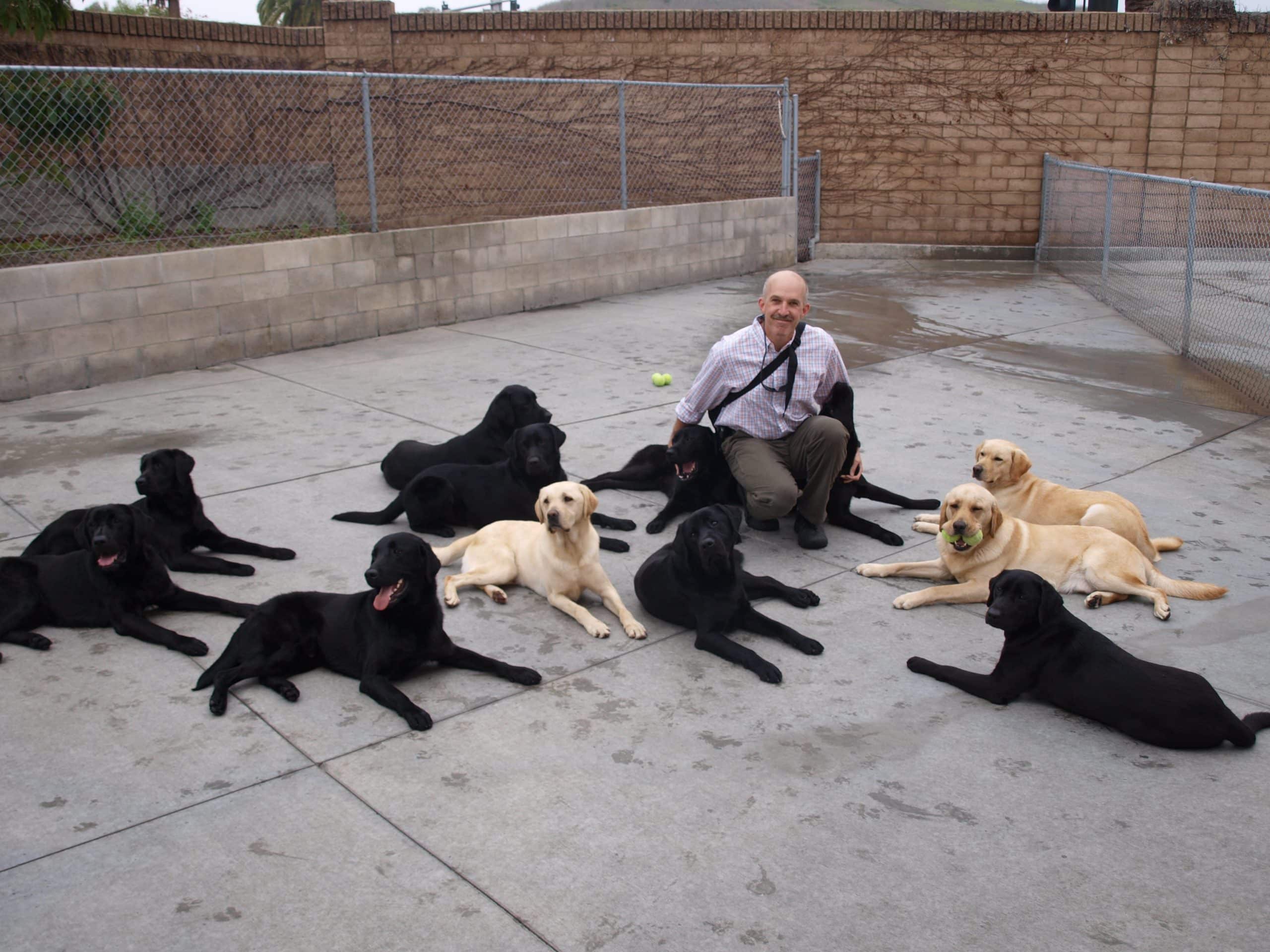Professor Philip Tedeschi with Labrador Retrievers