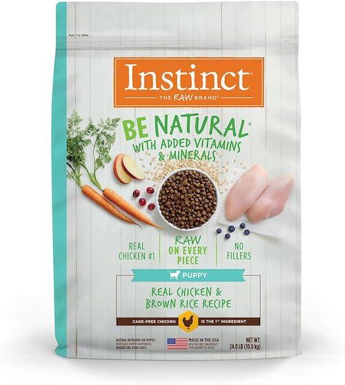 The 13 Best Puppy Foods for All Breeds and Sizes