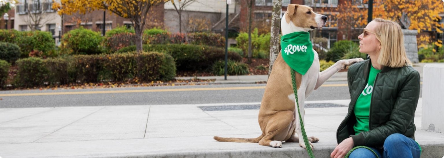 Stay Safe. Keep it on Rover. The Dog People by