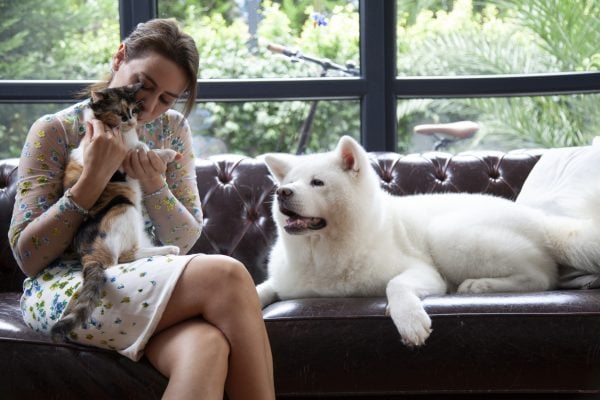 young woman petting cat and dog at home