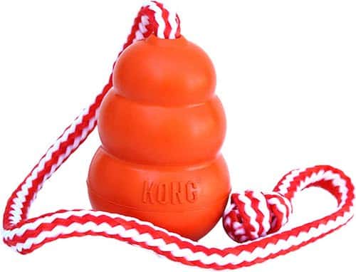 KONG aqua floating dog toy