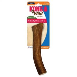 Kong Elk Antler Dog Chew Toy