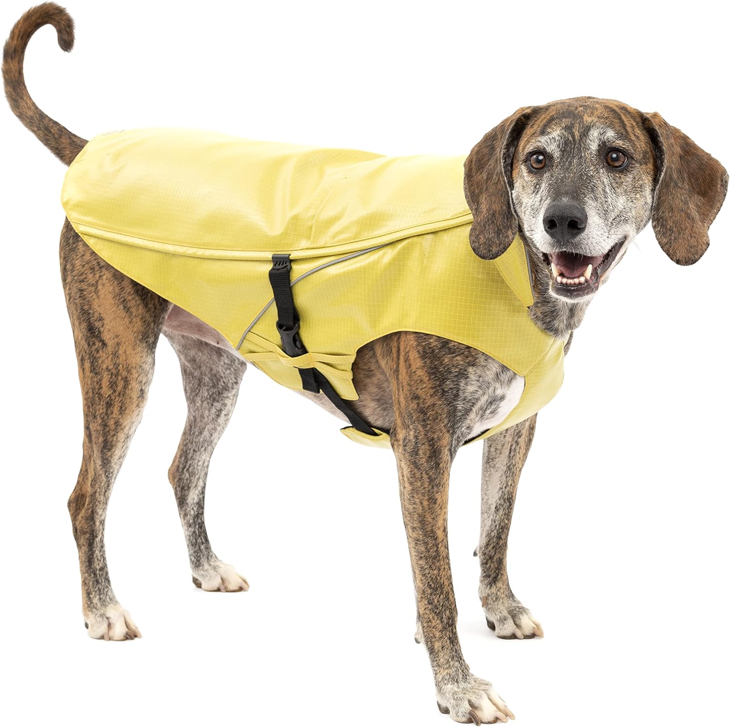 The 15 Best Dog Raincoats for All Kinds of Wet Weather