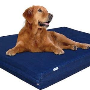 dogbed4less crate bed