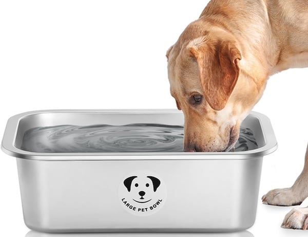 Lab drinking from large stainless steel dog bowl