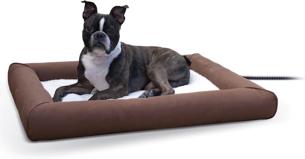 Dog sitting on heated Lectro-Soft dog bed