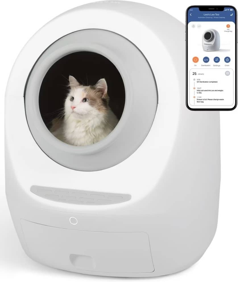 cat sitting in white automatic litter box