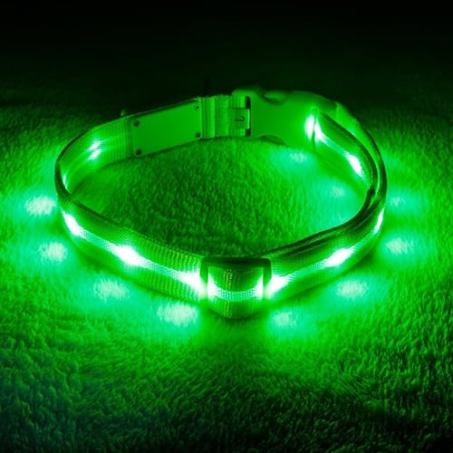 dog collar with green LED lights embedded in it for walking at night