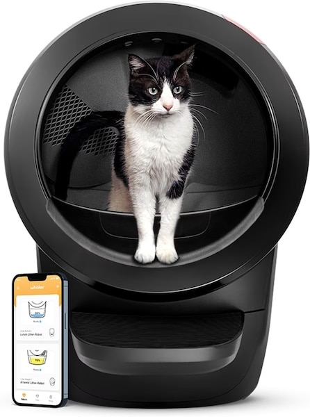 Cat sitting in the litter robot 4