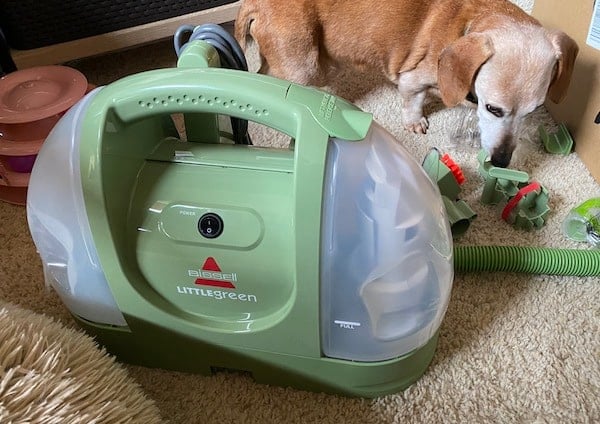 Dog sniffs next to Bissel Little Green machine