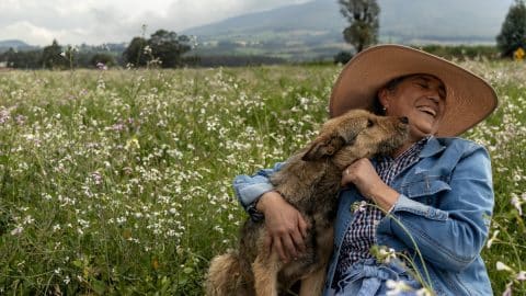 A mixed-breed terrier dog giving kisses to its owner, a mature Latina woman smiling in the middle of a field