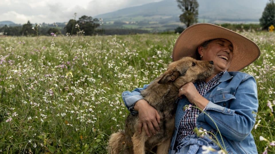 A mixed-breed terrier dog giving kisses to its owner, a mature Latina woman smiling in the middle of a field