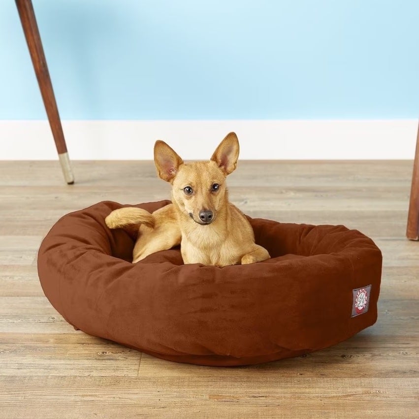 Dog sits in sturdy brown bagel bed