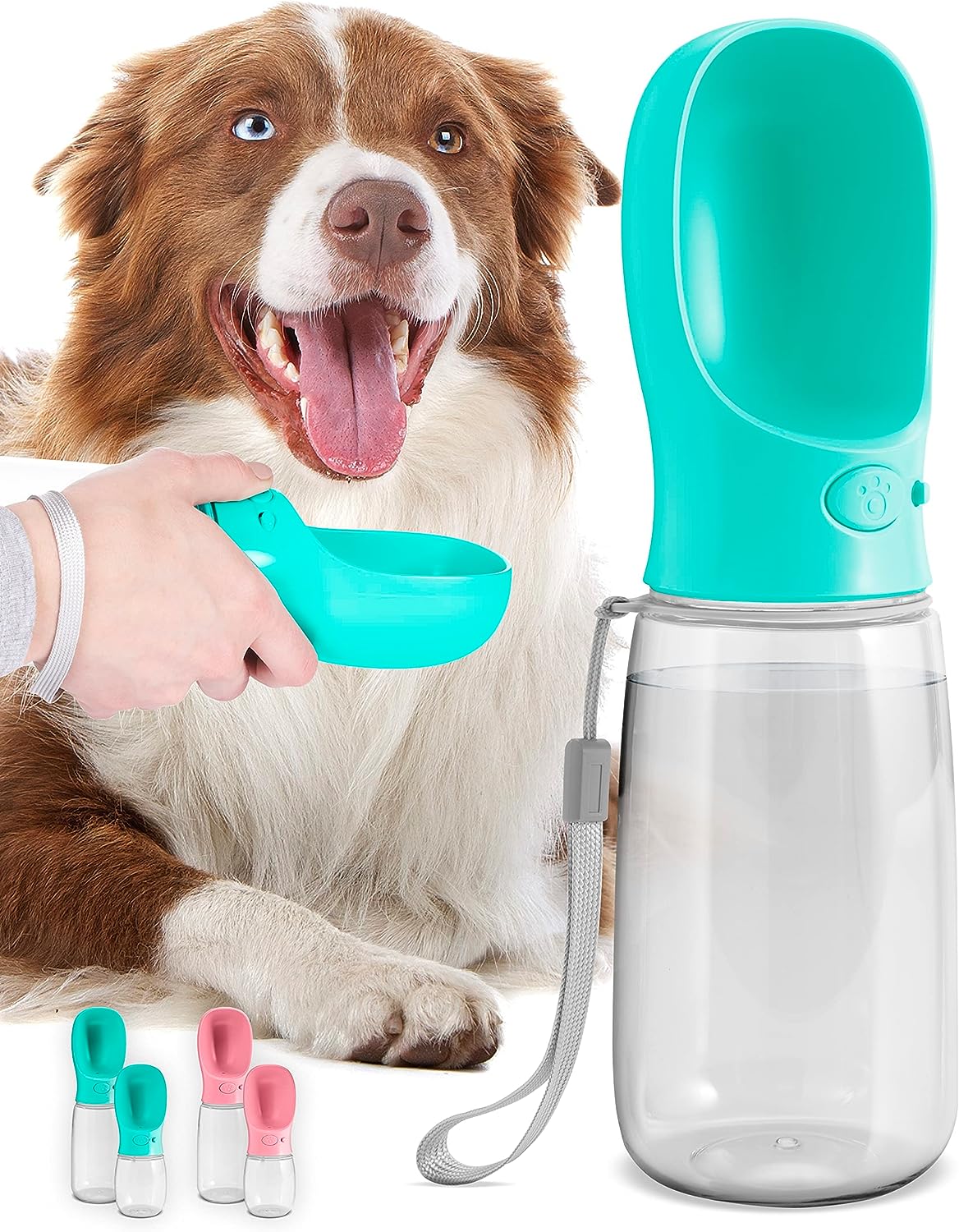 portable dog water bottle