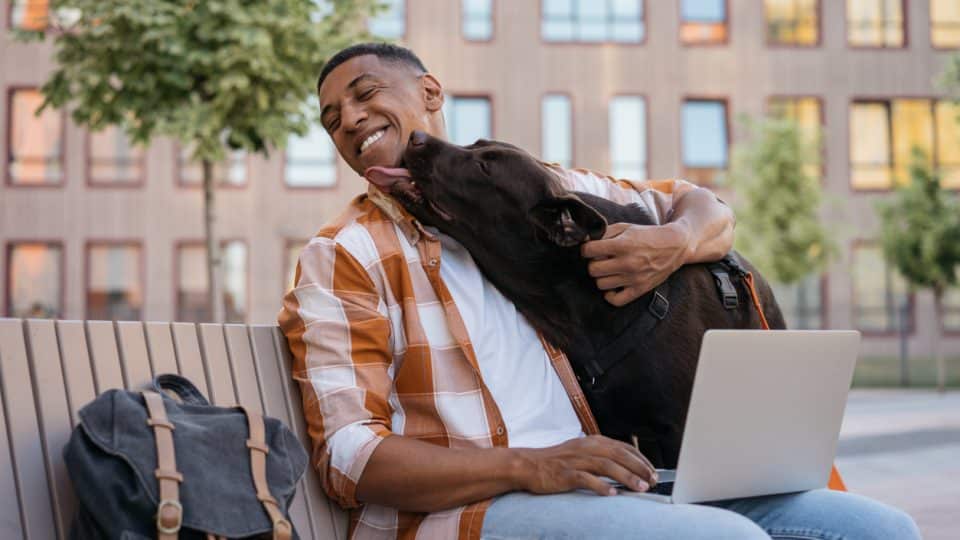 Handsome happy African American man freelancer using laptop computer, working online, hugging with adorable pet. Labrador dog licking his owner in park, selective focus. Best friends concept