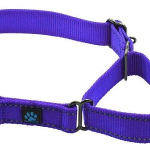 Max and Neo martingale collar