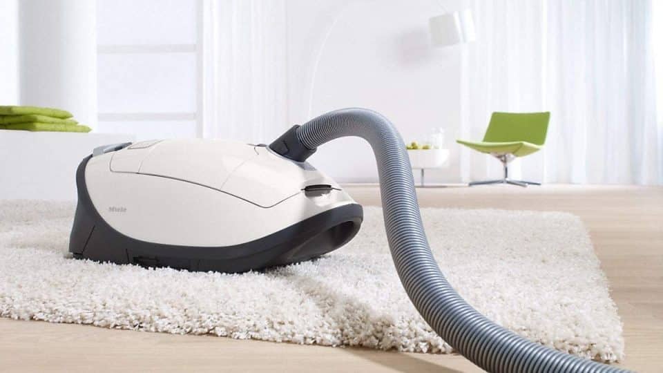 Does the Miele Vacuum Work for Pet Hair? We Review