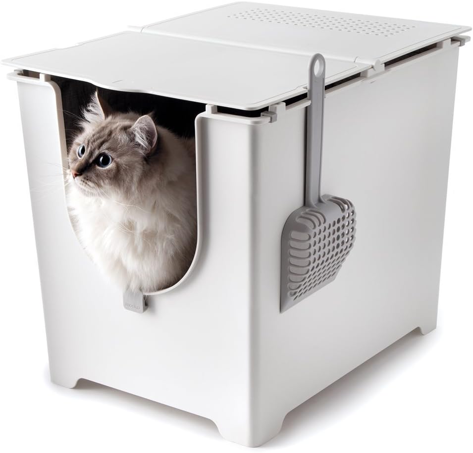 cat inside a flip-top litter box