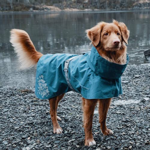 Avanigo Dog Wear Yellow Dog Raincoat with Pockets Rain/Water Resistant Stylish Premium Dog Raincoats Dog Rain Jacket with Hood 