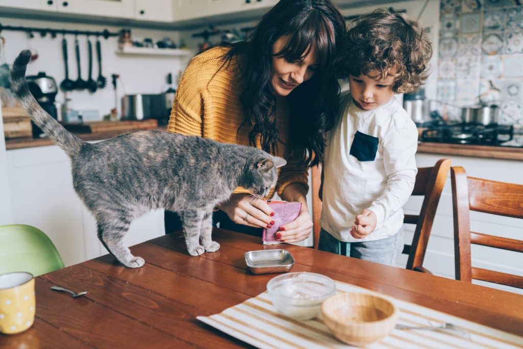 Junge Frau und kleiner Junge füttern ihre Katze zu Hause am Tisch