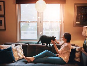 Cat sitter petting cat on sofa
