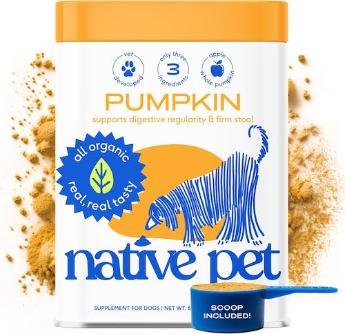 native pet pumpkin powder