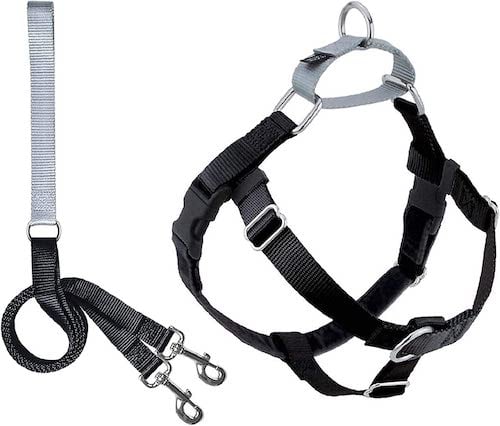 two hounds harness