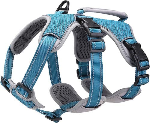 Belpro escape proof harness