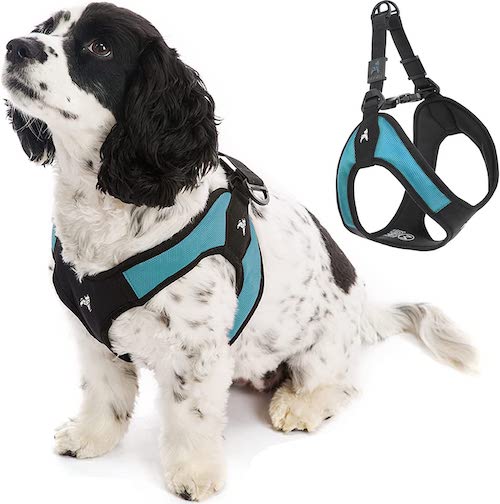 gooby small dog harness