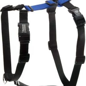 blue-9 balance harness