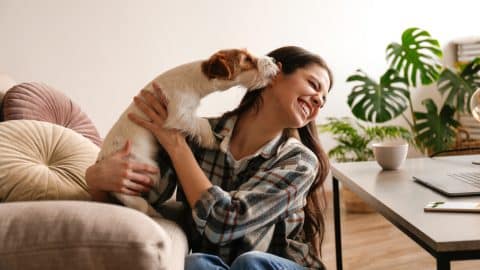 Small dog licking a nurses' face