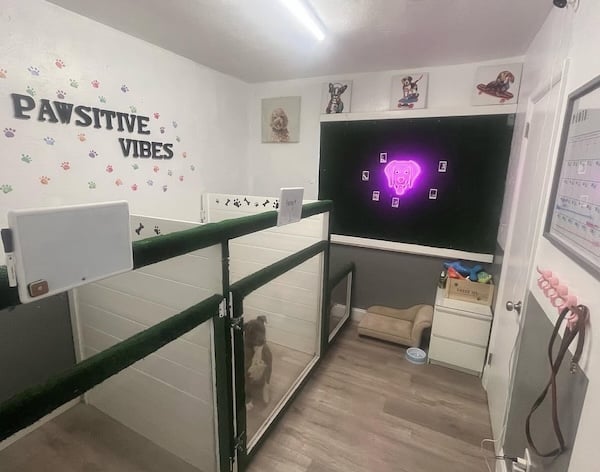 Dog boarding setup with cozy separated sleeping spaces